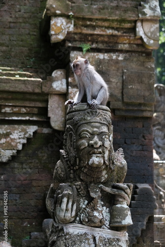 macaque sitting on a statue photo