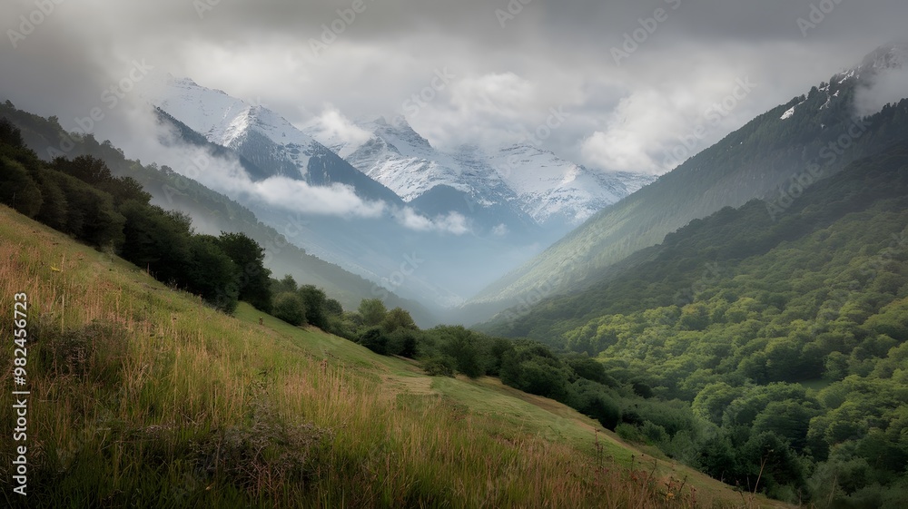 Fototapeta premium view of the mountains