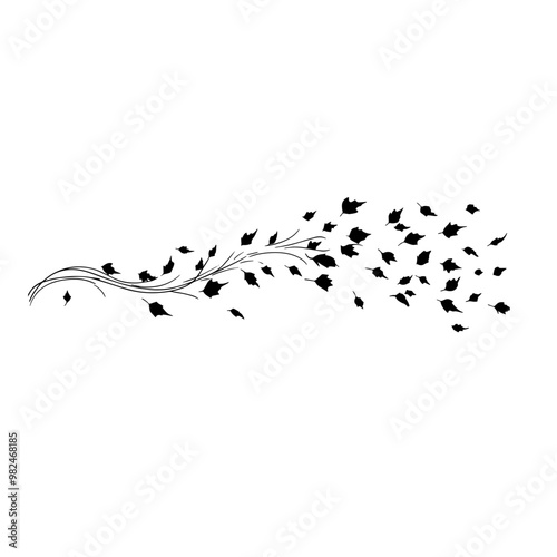Hand-drawn illustration of falling leaves in black and white.  A detailed hand-drawn black and white illustration of autumn leaves blowing in the wind