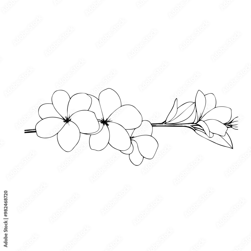 Hand-drawn Flowers Illustration in Minimalist Style Hand-drawn Flowers Illustration in Minimalist Style