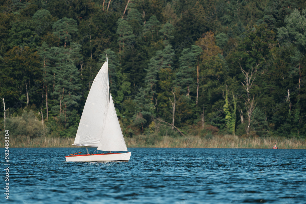Obraz premium Segelboot auf dem Greifensee vor bewaldetem Ufer von Uster an einem sonnigen Tag, Kanton Zürich, Schweiz