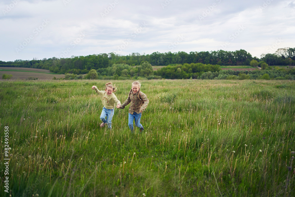 beautiful blonde sisters play with a dandelion in the field beautiful blonde sisters play with a dandelion in the field