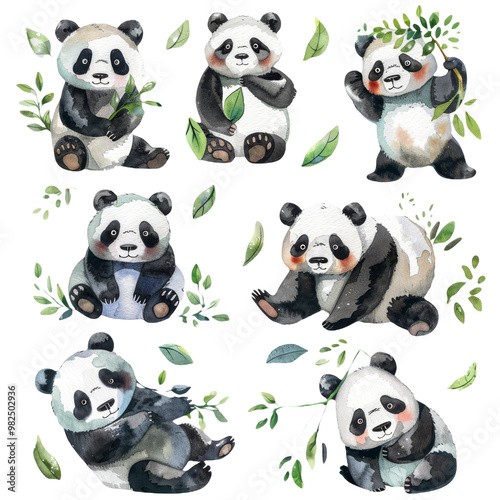 Group of Pandas with Green Leaves Isolated on Transparent Background. Panda Illustration Set