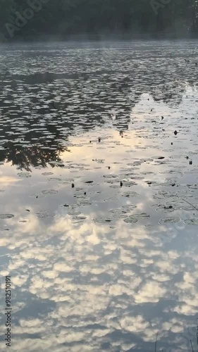 Reflection in water on a lake with lotus flowers