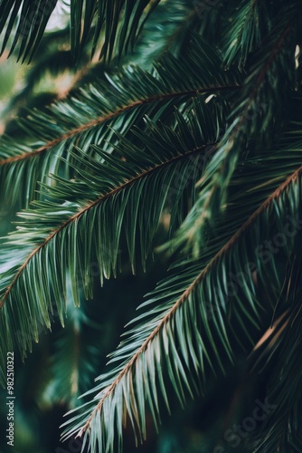 The texture of a natural tropical green leaf close up