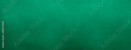abstract Green grunge texture panoramic background.