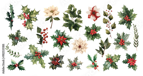 Christmas watercolor decor elements Holly branch festive plants mistletoe, poinsettia flowers isolated on white background