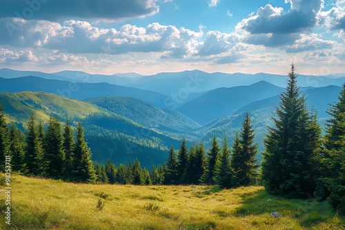 Landscape in the Carpathians, Ukraine, with spruce trees on grassy hillsides