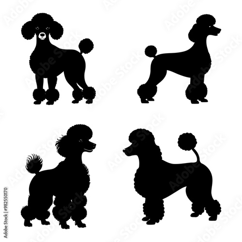 set of Poodle Dog breeds silhouette. cute pet owners. dog breed puppy vector illustration. photo