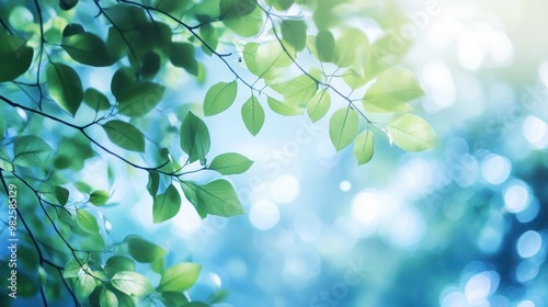 Green Leaves and Blue Sky