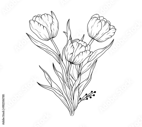 Tulip flower bouquet line art sketch. Floral outline hand drawn spring bouquet. Tulips black vintage linear bouquet vector illustration