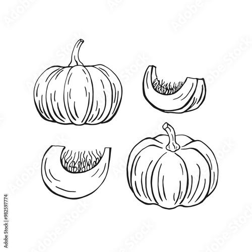 Set of pumpkin. Hand drawn vector illustration.