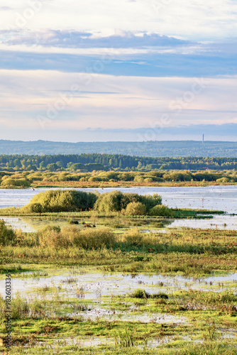 Wetland landscape view with a hill in the horizon