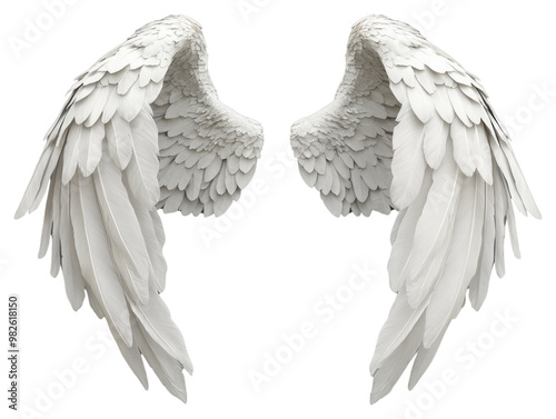 PNG Elegant white angel wings displayed photo