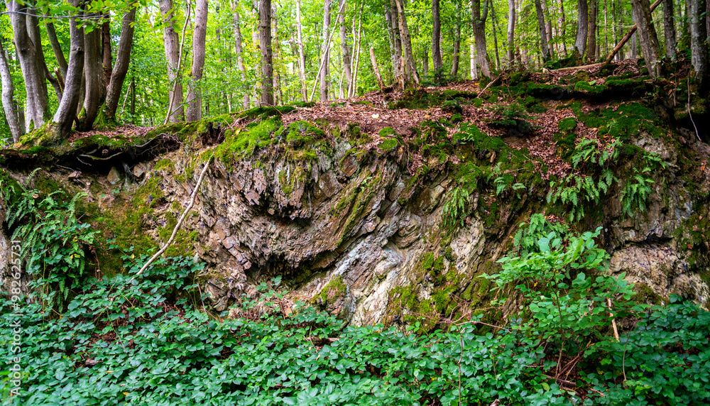 Fototapeta premium Rock formation in a forest in the Ardennes, Belgium 