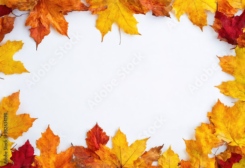 A Frame Of Autumn Leaves At 18-9-2024