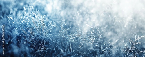 Close-up of delicate frost crystals shining in soft light, creating a serene winter atmosphere filled with natural beauty.