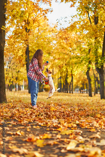 Girl playing in autumn park with a funny Jack Russell Terrier.