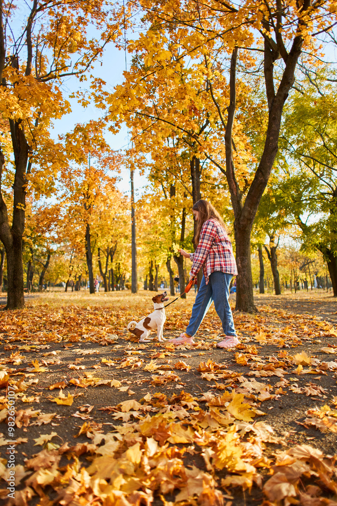 Girl playing in autumn park with a funny Jack Russell Terrier. Girl playing in autumn park with a funny Jack Russell Terrier.