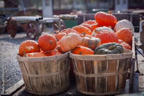 Halloween pumpkins and squashes in baskets for sale at farm shop