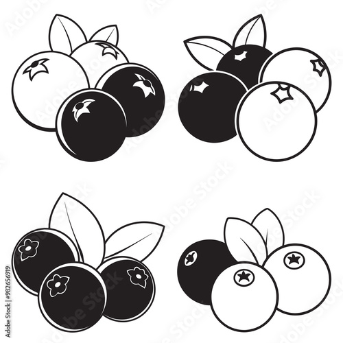 3d rendering of dynamic blueberries with silhouette beautiful line art