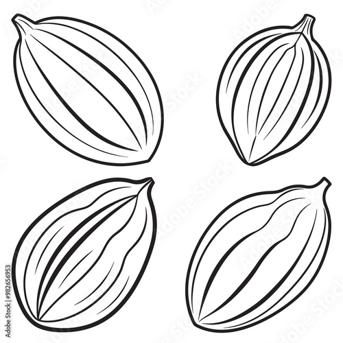 3d rendering of dynamic cacao with silhouette beautiful line art