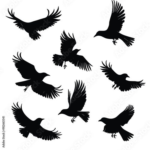 Birds silhouettes isolated on white. Vector illustration, template for t-shirts, tattoo element etc