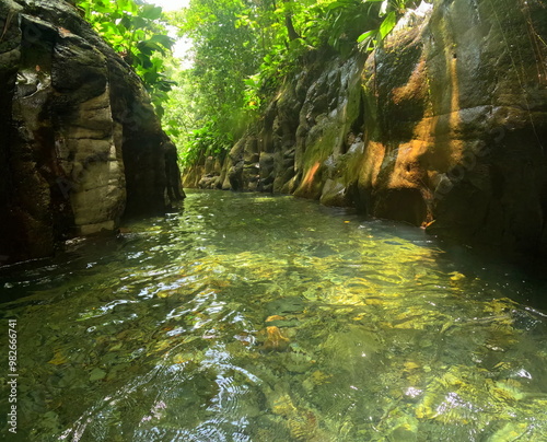 riviere moustique, natural canyon and river in rainforest in Petit-bourg, Basse Terre, Guadeloupe. Caribbean nature destination