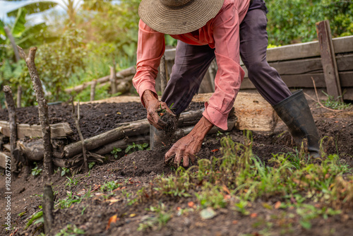 Close-Up of Farmer's Hands Removing Weeds to Prepare Soil for New Crop