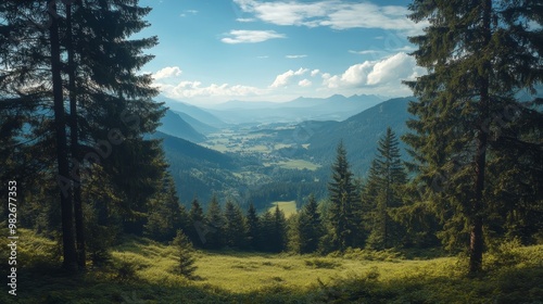 A ring of pine trees on a mountainside, framing a breathtaking valley below