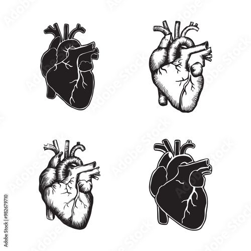 Black and white vector silhouettes set of heart