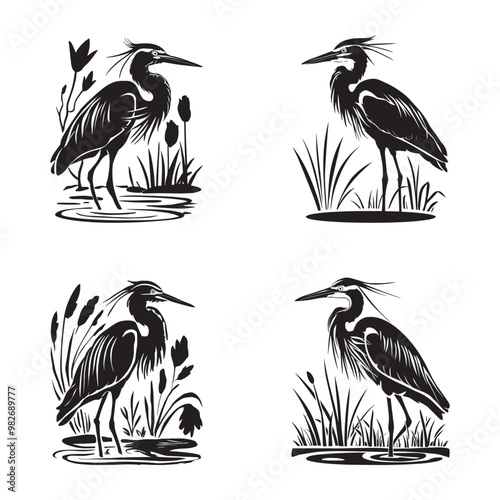 Indian Pond Heron silhouette set black color vector illustration
