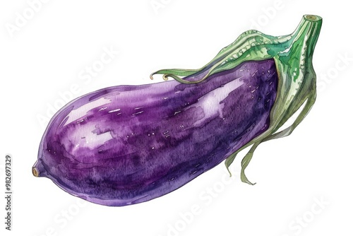 Wallpaper Mural Illustration of an eggplant on a white surface Torontodigital.ca
