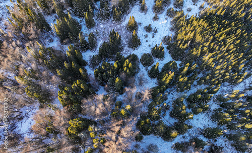 Obraz na płótnie Old Boreal Forest in Winter with Several Dry Dead Trees Up and Down and Small Rivers w salonie