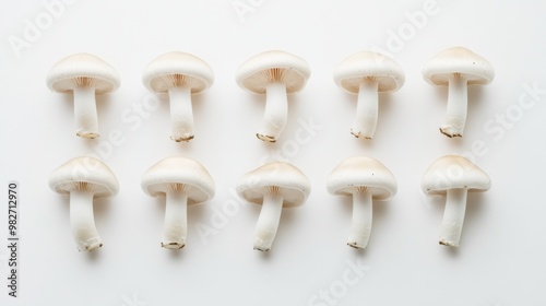 A clean, minimalist image of Shimeji mushrooms arranged symmetrically on a pure white background, with soft lighting enhancing their natural form.