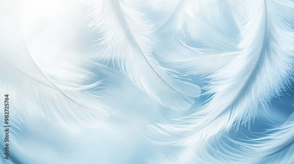 White feathers drifting in a swirl of gentle wind, highlighted against a gradient of light blues and soft whites. White feathers drifting in a swirl of gentle wind, highlighted against a gradient of light blues and soft whites.