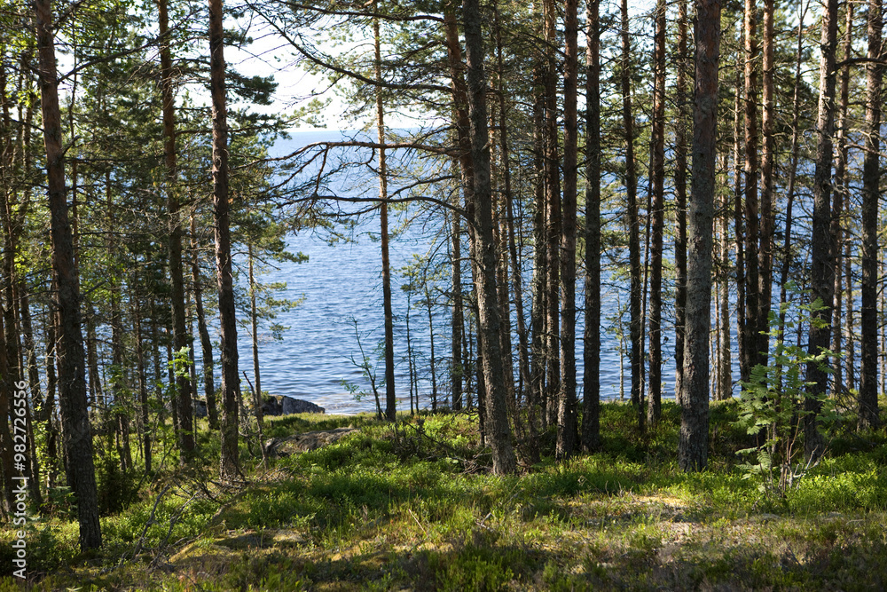 Russia Karelia Lake Onega on a cloudy summer day Russia Karelia Lake Onega on a cloudy summer day