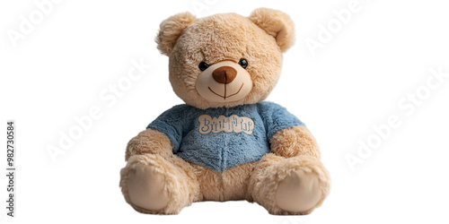 a teddy bear wearing a blue shirt.