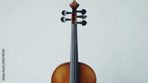 neck of the violin