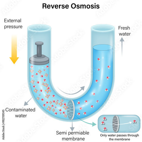 Detailed Vector Illustration of Reverse Osmosis Mechanism Using Semipermeable Membrane: An In-Depth Look at Water Purification Process with Labels