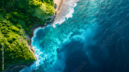 Fototapeta Naklejka Na Ścianę i Meble -  top view of beautiful tropical island with dense trees, with white sand beach and clear blue waters. concept of vacation with family. 4K Island Wallpaper