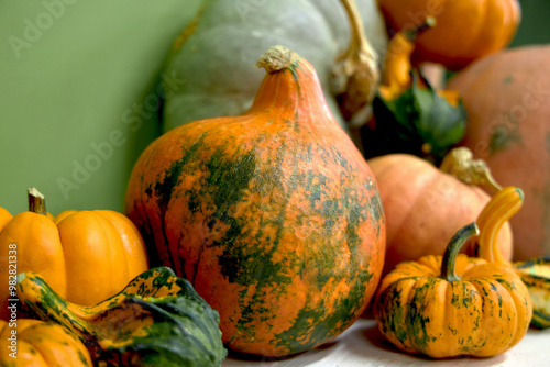 Autumn still life with pumpkins of different sizes and colors Selection of different sized pumpkins and gourds photo