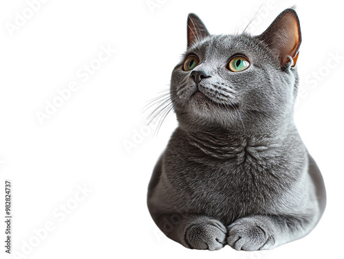 A charming grey cat with bright green eyes gazes thoughtfully, showcasing its unique fur texture and playful demeanor.