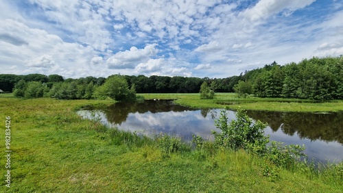 landscape with lake and forest