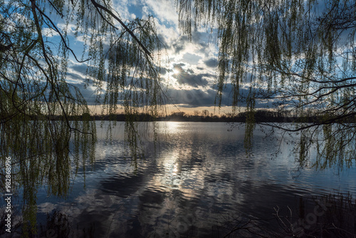 Pond with willow tree branches and  sky with sunlights and clouds photo