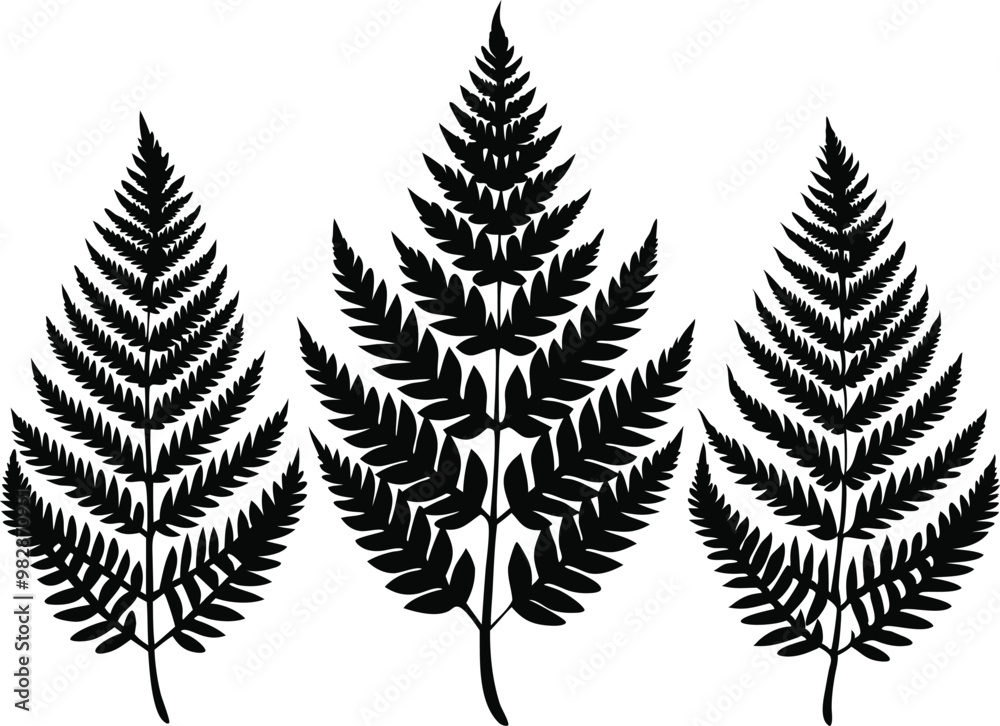 Obraz premium A pack of fern leaf silhouettes vector illustration