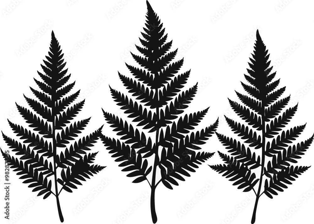 A pack of fern leaf silhouettes vector illustration A pack of fern leaf silhouettes vector illustration