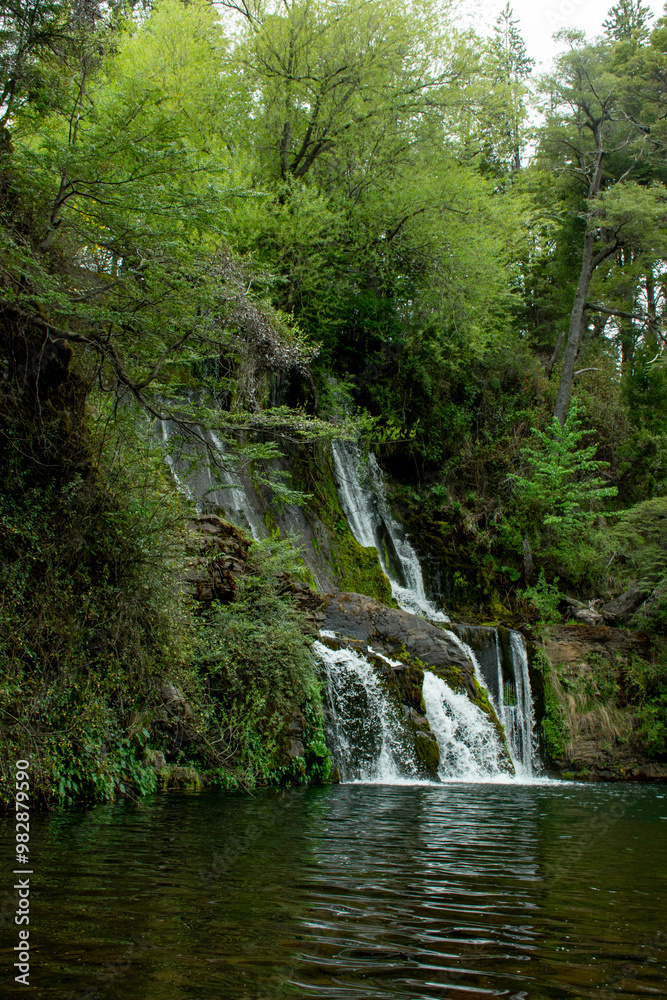 Obraz premium waterfall in the forest