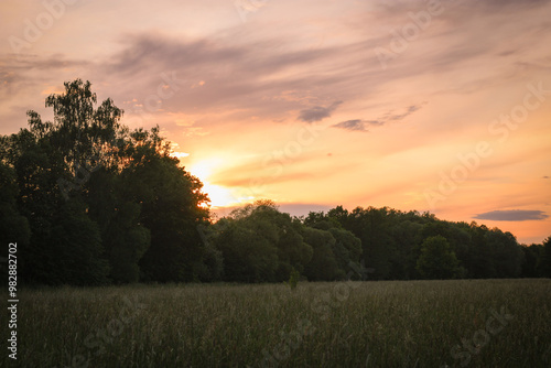 Fototapeta Naklejka Na Ścianę i Meble -  sunset over the field in summer with dramatic sky in Czech Republic, rural view