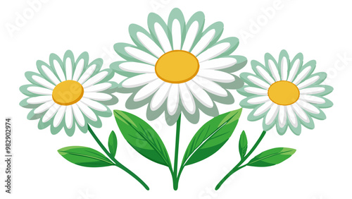 Stunning White Daisy Illustration with Yellow Center and Lush Green Leaves - Perfect for Floral Designs and Botanical Themes, Daisy Vector Illustration